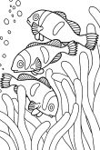 Раскраска рыбы красного моря