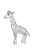Жираф и зебра раскраска