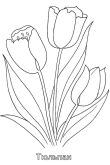 Раскраска тюльпаны для мамы