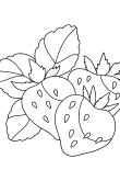 Раскраска с ягодами земляники