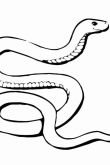Раскраски для детей с годом змеи