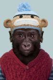 Смешная обезьяна аватарка