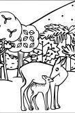 Раскраски на тему животные в лесу
