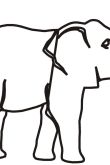 Раскраска слон с поднятым хоботом