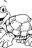 Раскраска черепаха тортилла