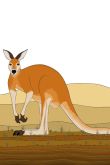 Иллюстрация кенгуру