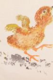 Цыпленок иллюстрации чарушина