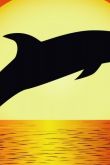 Рисунок дельфина в море на закате