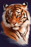 Тигр картинки на аватарку