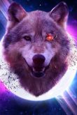 Красивые картинки волков на аватарку