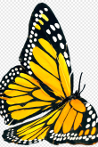 Желтые бабочки картинки