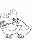 Картинка два веселых гуся для детей