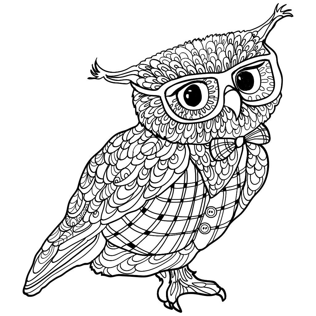 Раскраска антистресс Сова с крупными деталями