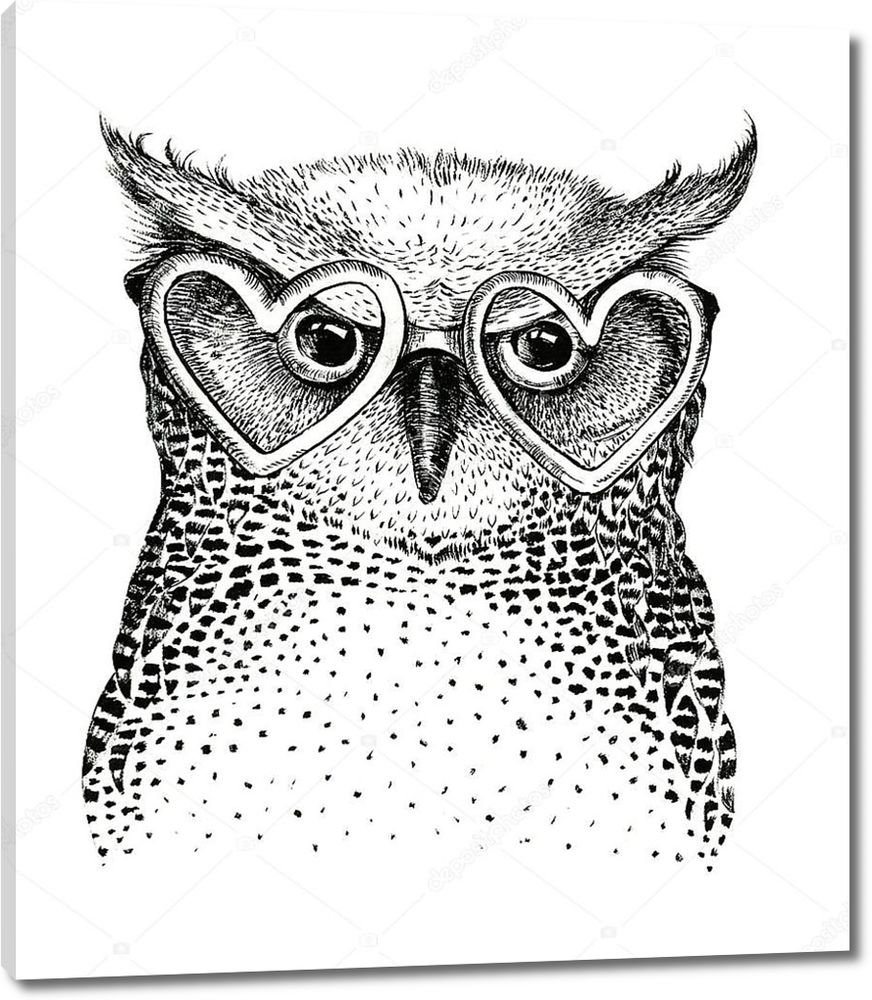 Картина Сова в очках