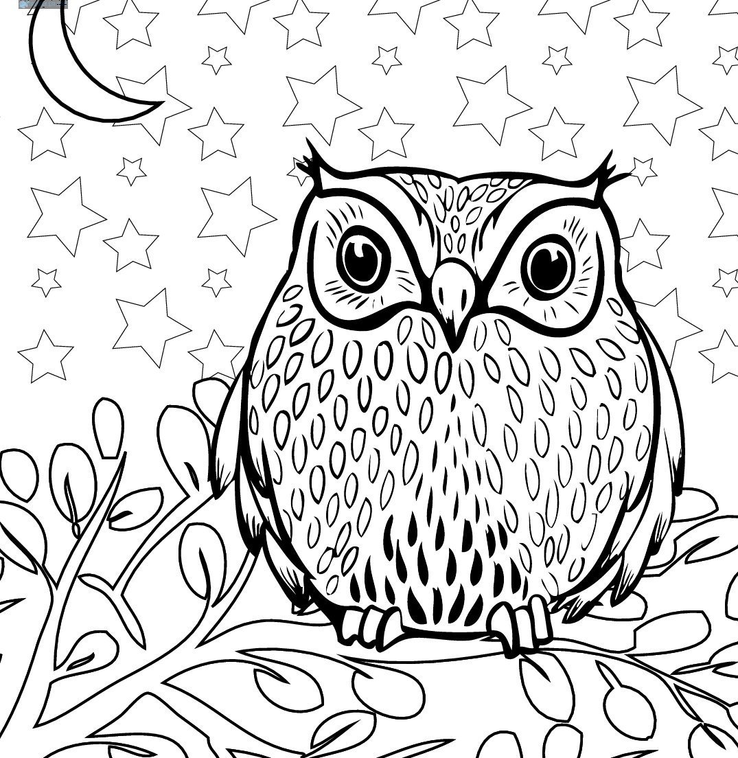 Сова раскраска