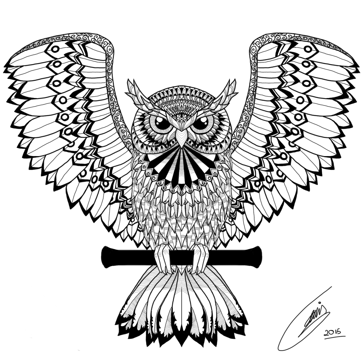 Сова раскраска