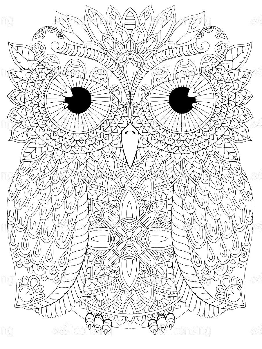 Раскрашенная Сова