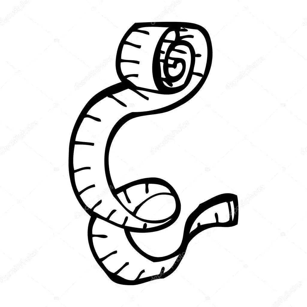 Линейка картинка