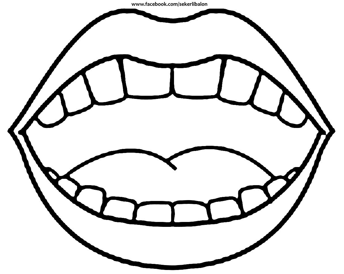 Раскраска зуб