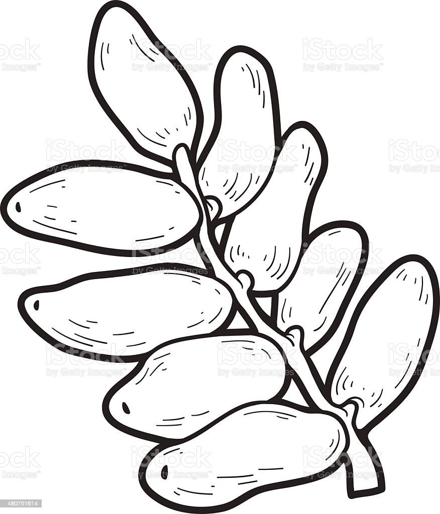 Финики для раскрашивания