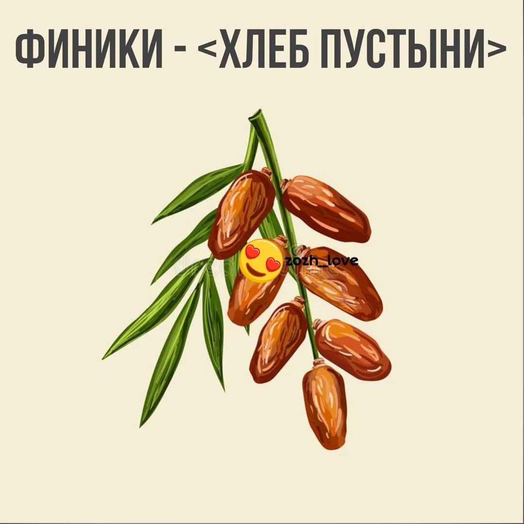 Финики рисунок