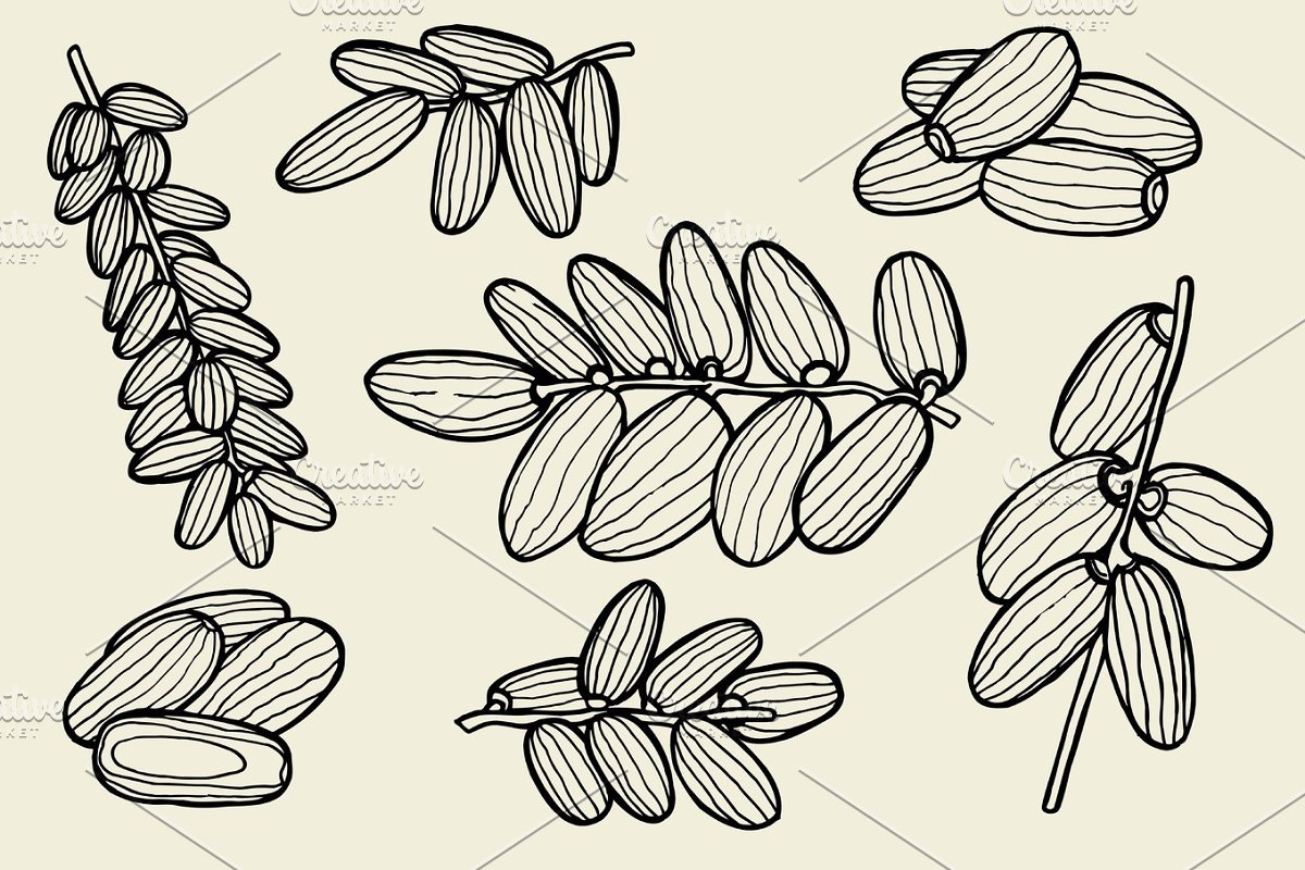 Вектор узор финики дерево