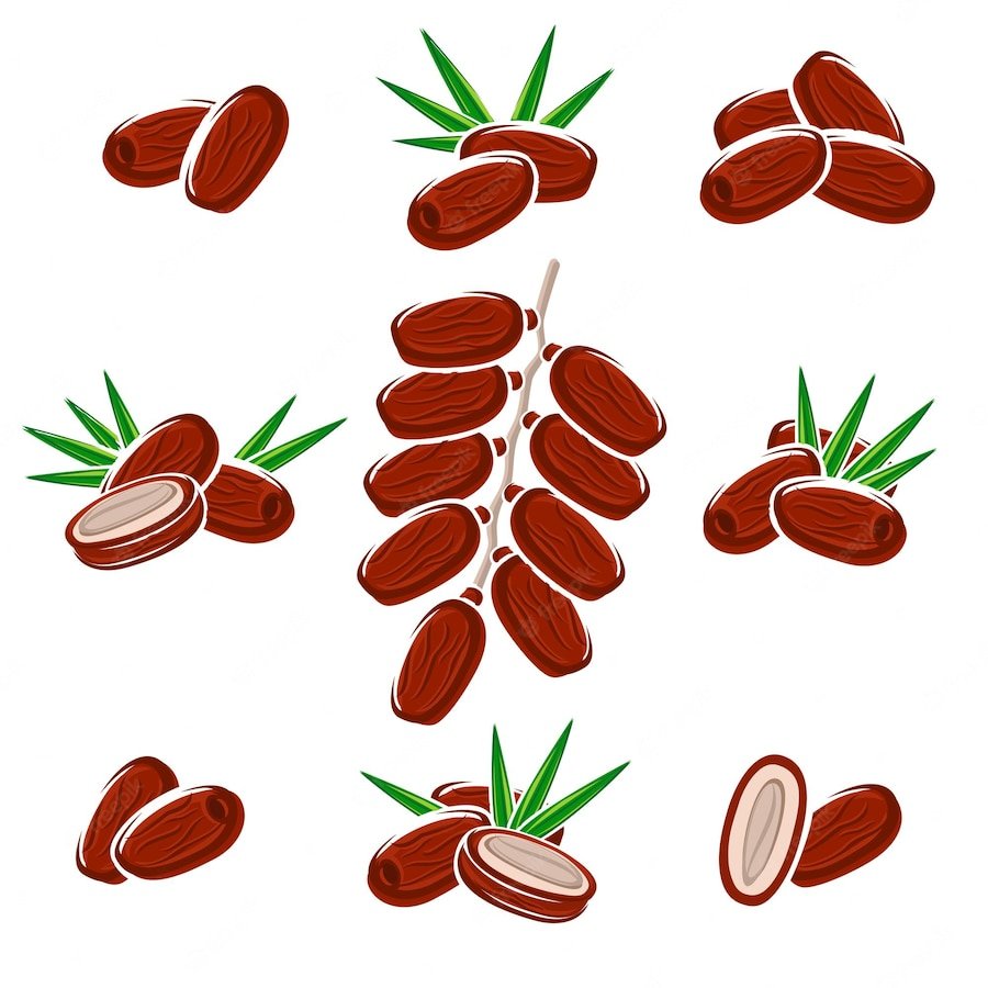 Финики вектор