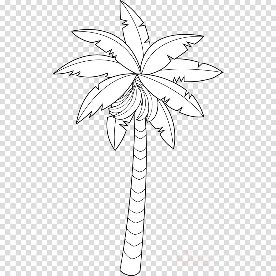 Банановая Пальма раскраска