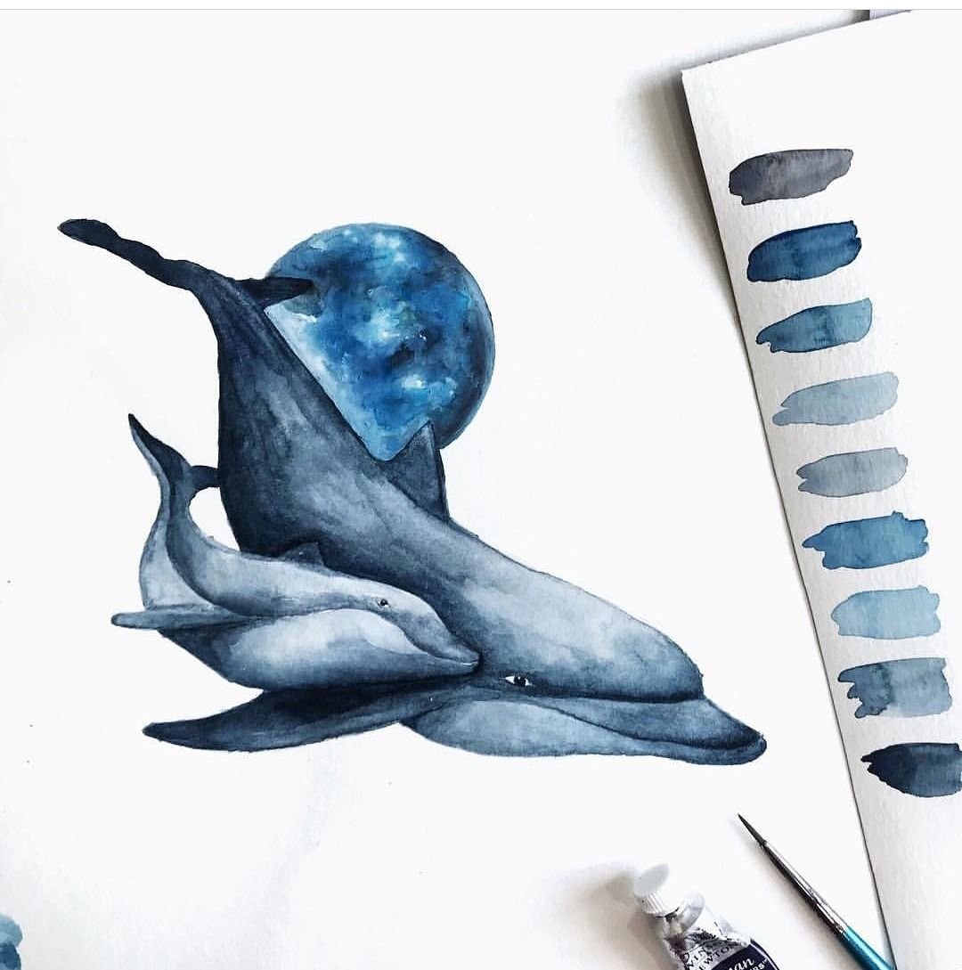 Дельфин скетч акварелью