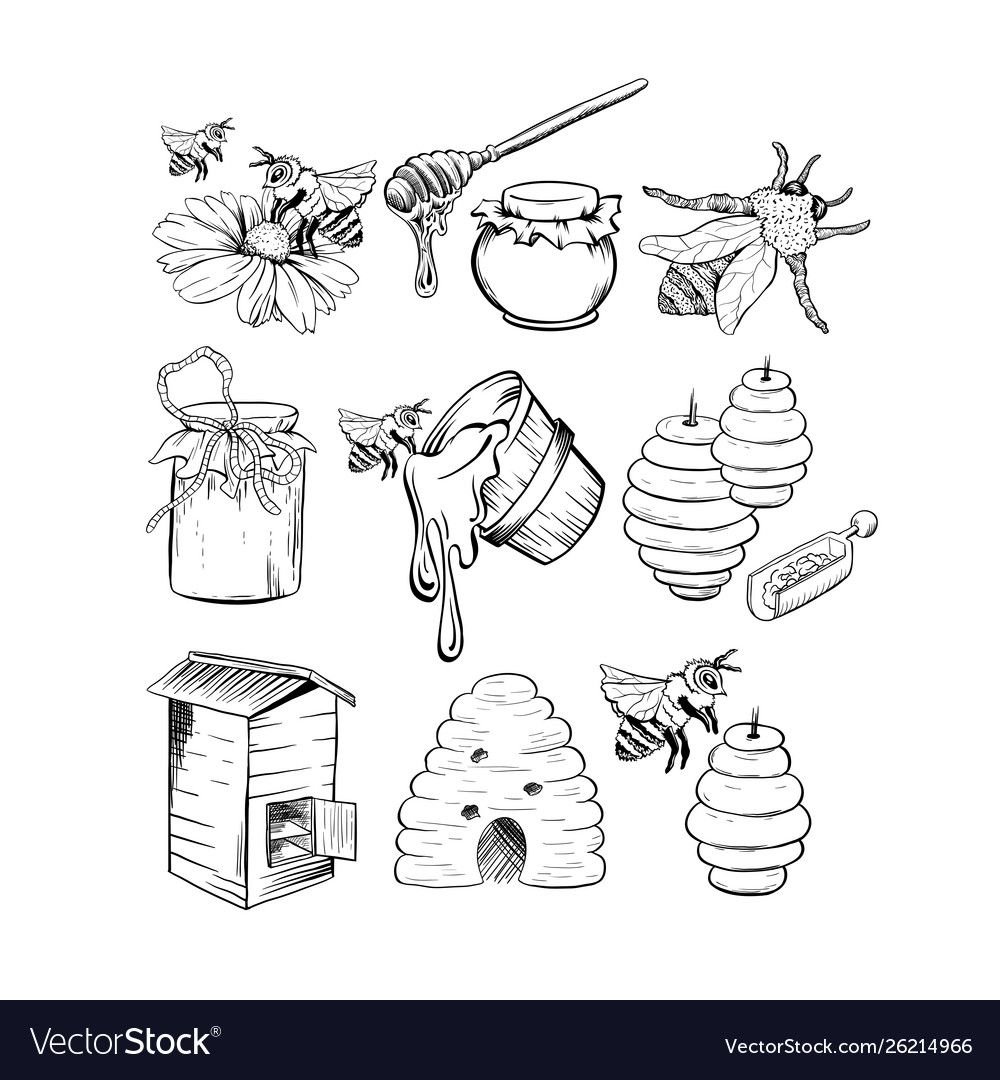 Банка меда раскраска