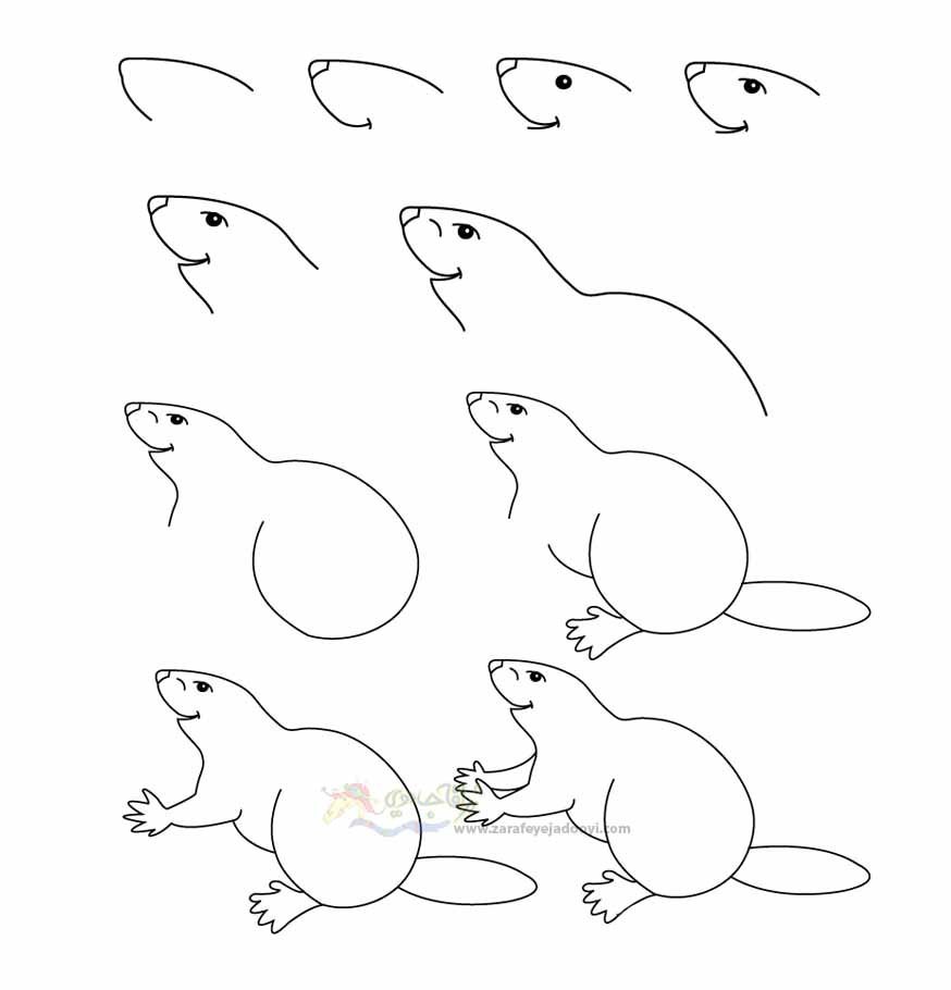 Раскраска звери