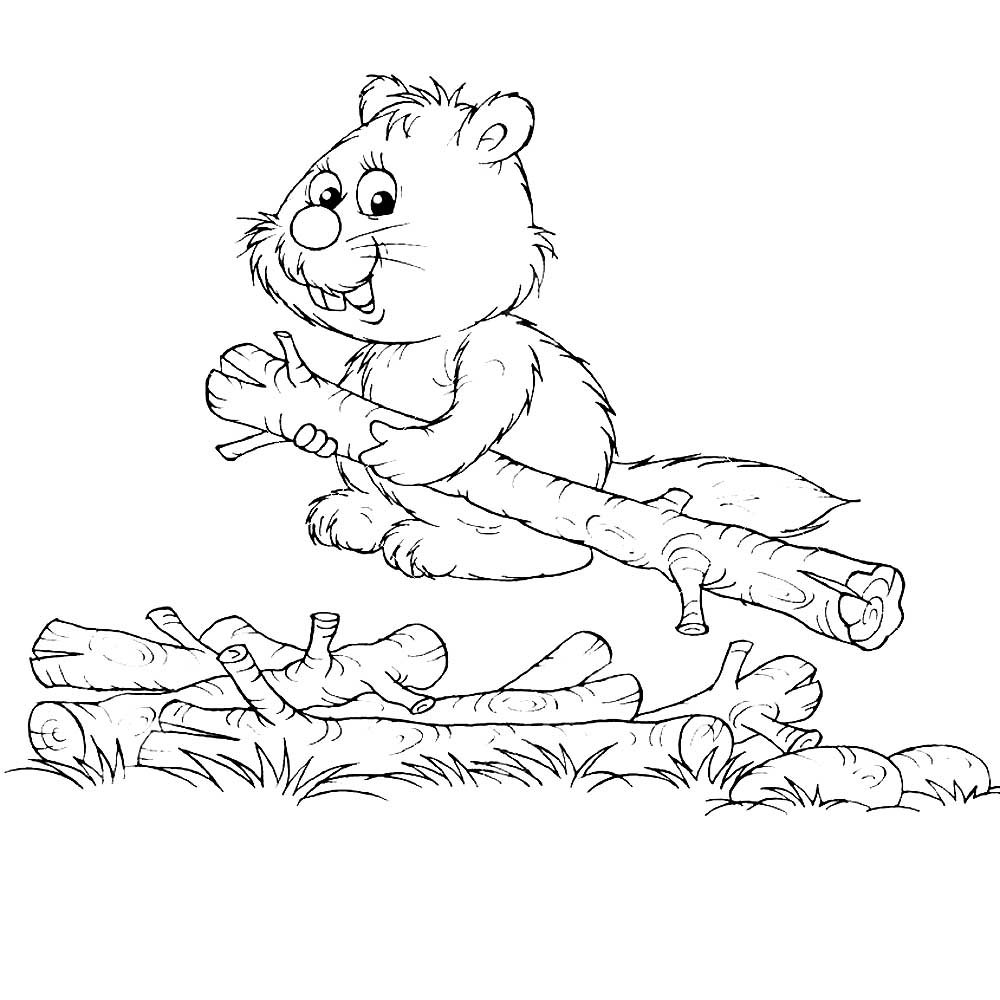 Бобр раскраска для детей