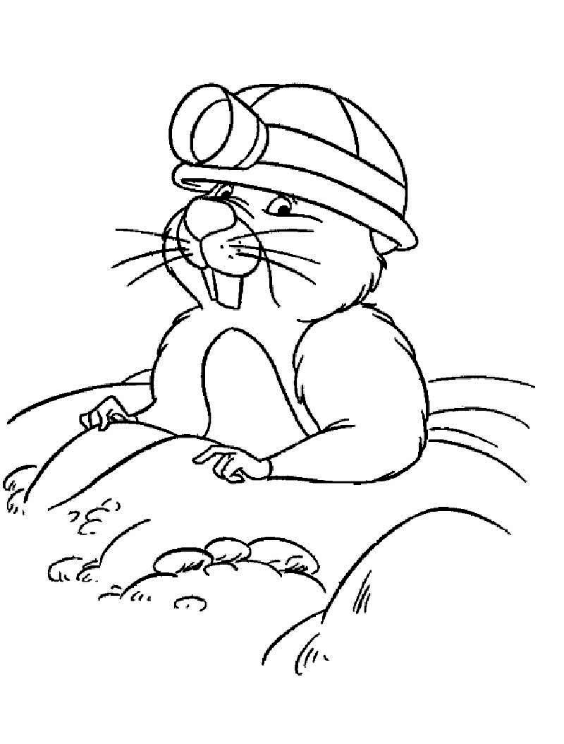 Плотина бобра раскраска