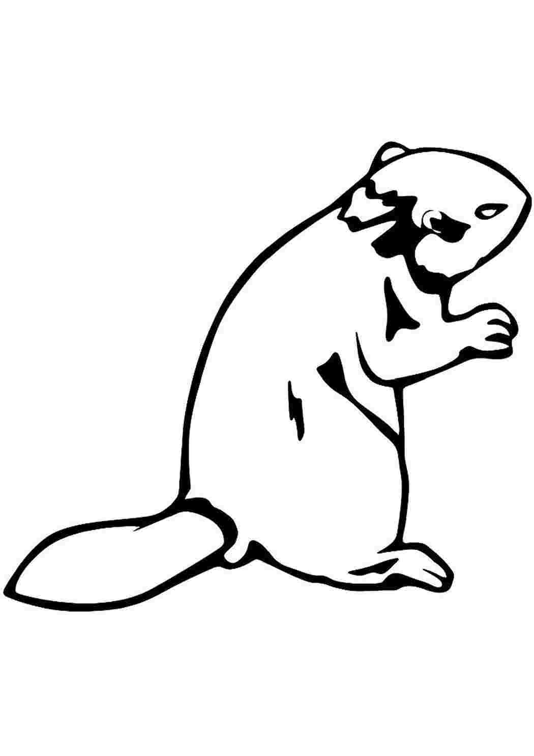 Бобер для раскрашивания