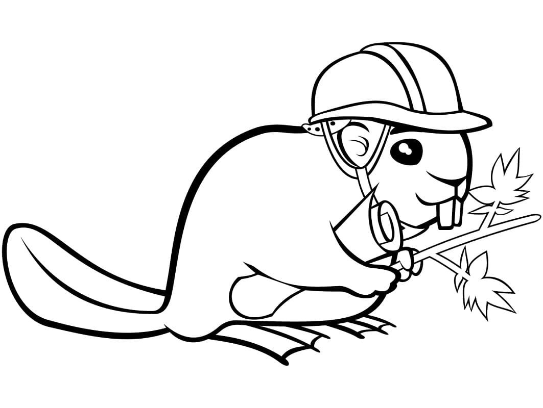 Раскраски с бобрами