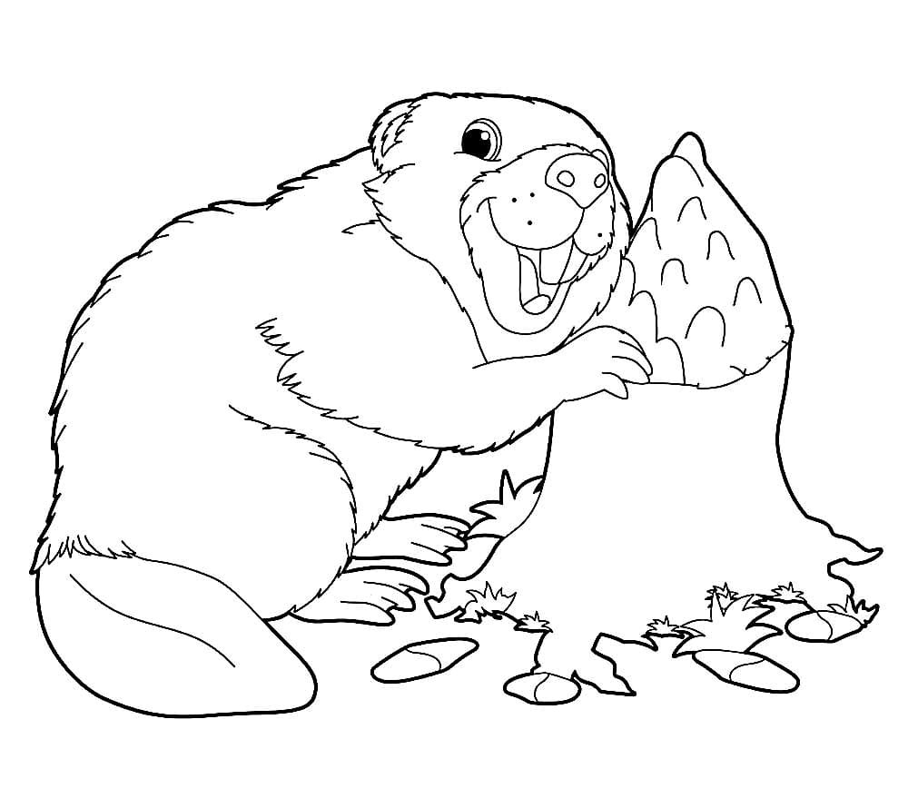 Бобр раскраска для детей