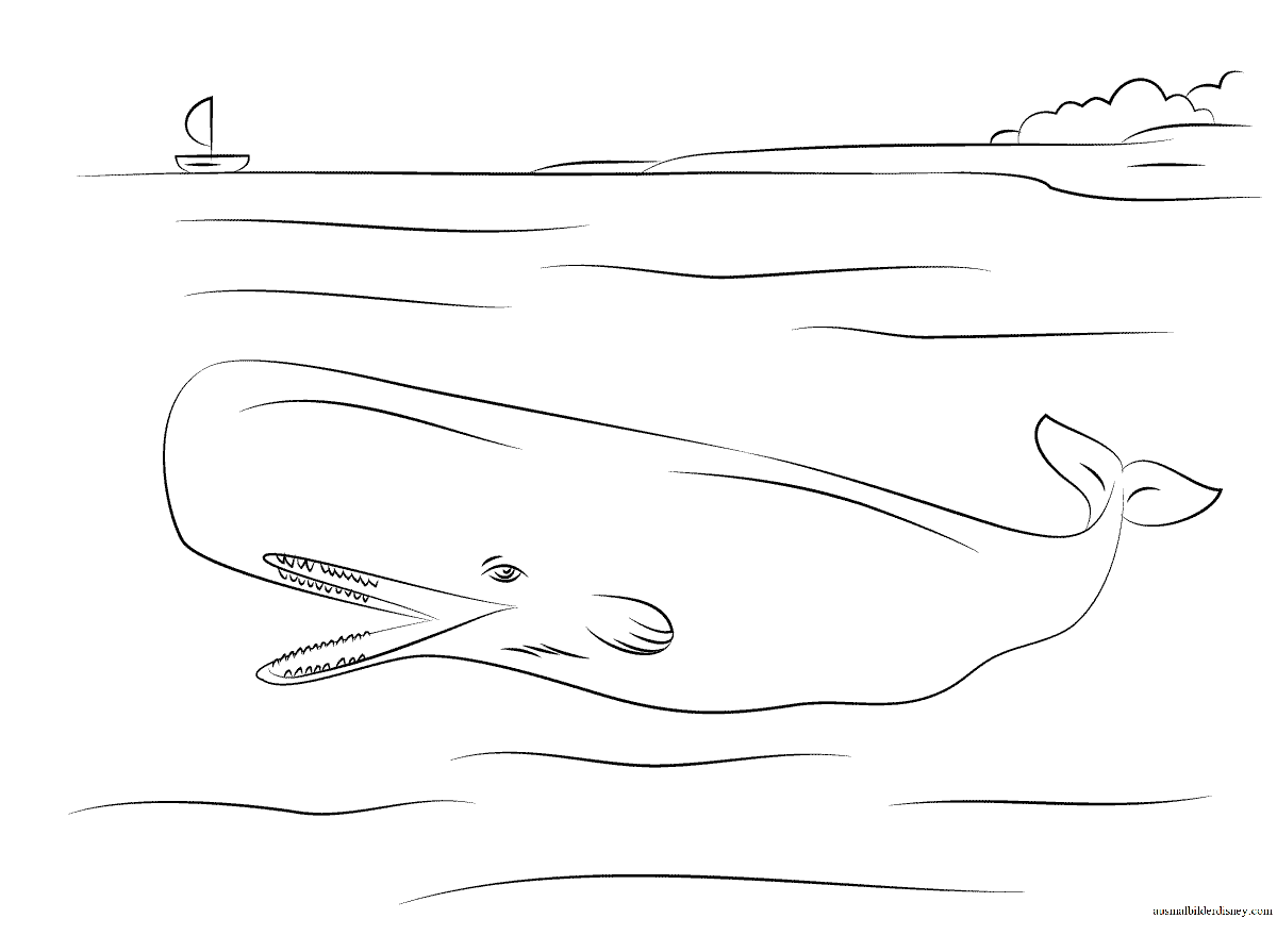 Раскраска кит Кашалот