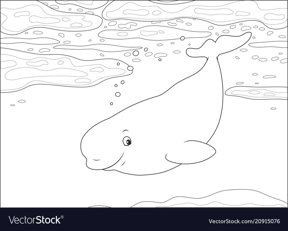 Кит Белуха раскраска