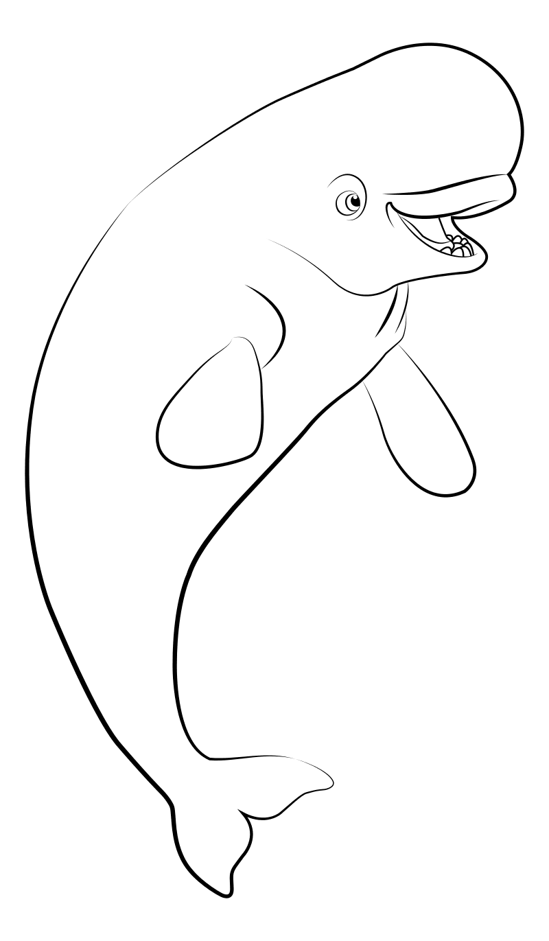 Раскраска акула и Дельфин