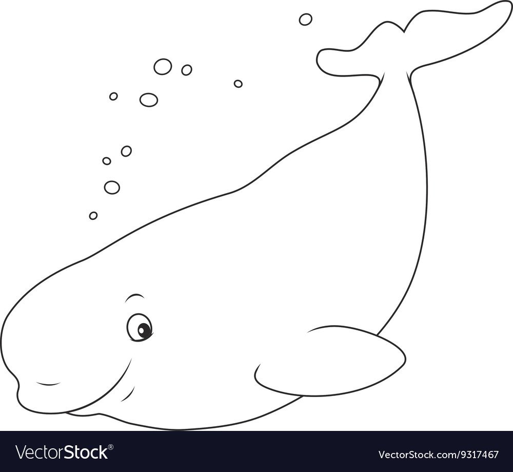 Белуха рисунок карандашом