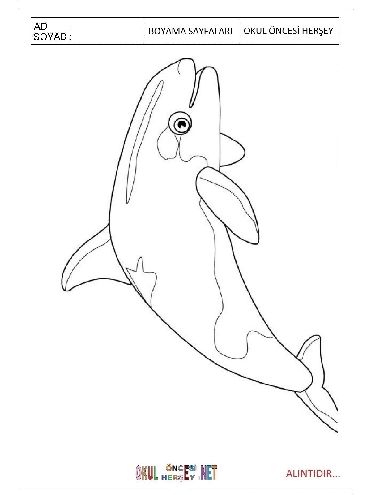 Рисовать Белуху очень легко