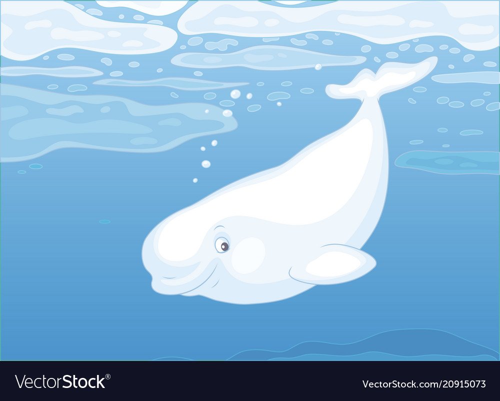 Белуга мультяшная