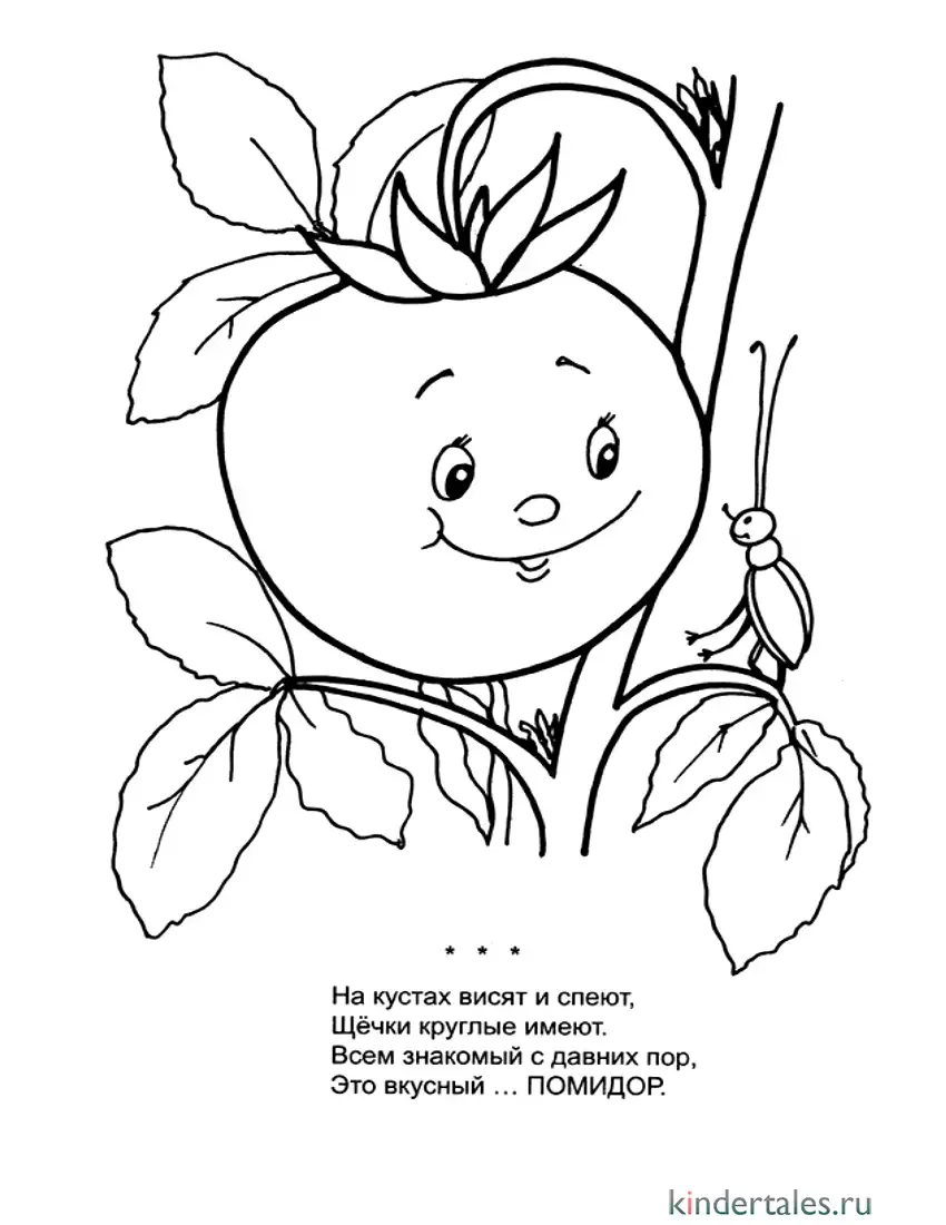 Помидор раскраска