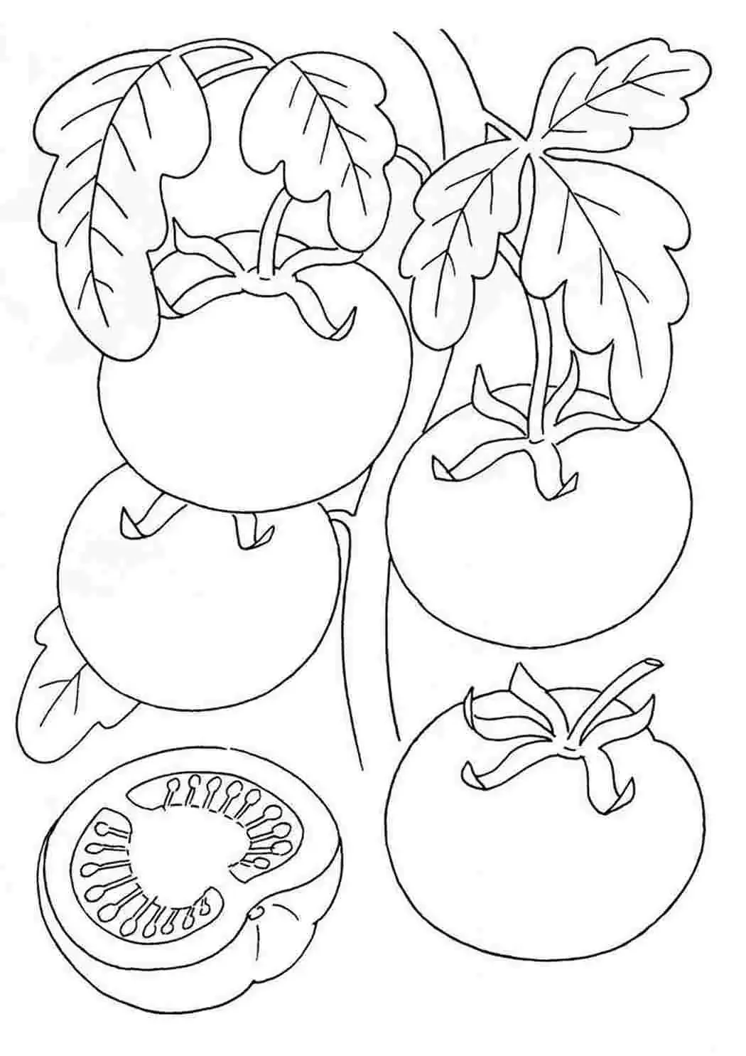 Загадки с рисунками