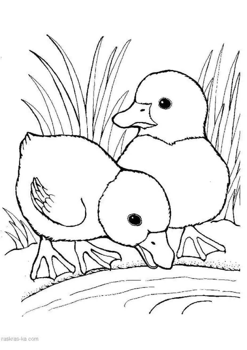 Михаил пришвин изобретатель