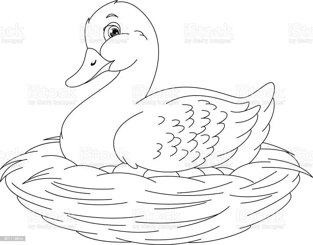 Дикая утка раскраска