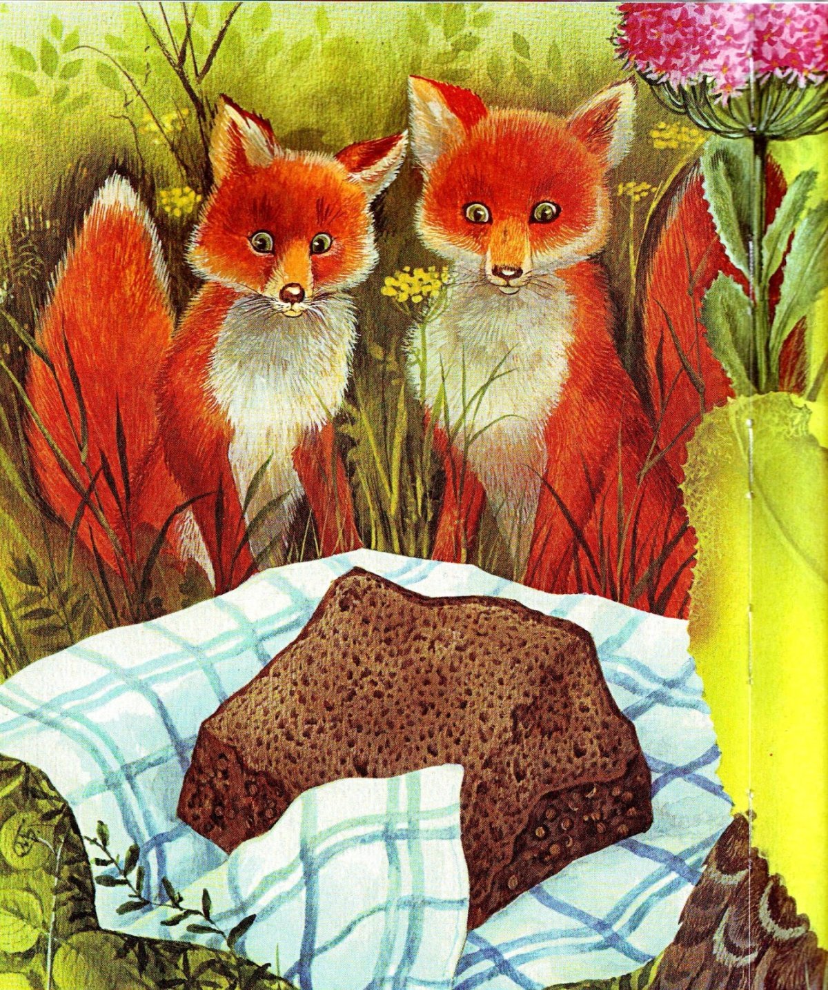 Михаил пришвин фото