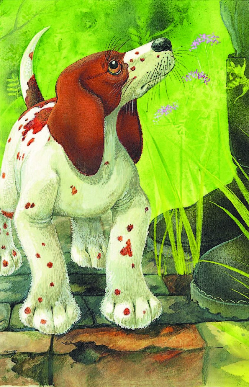 Пришвин иллюстрации