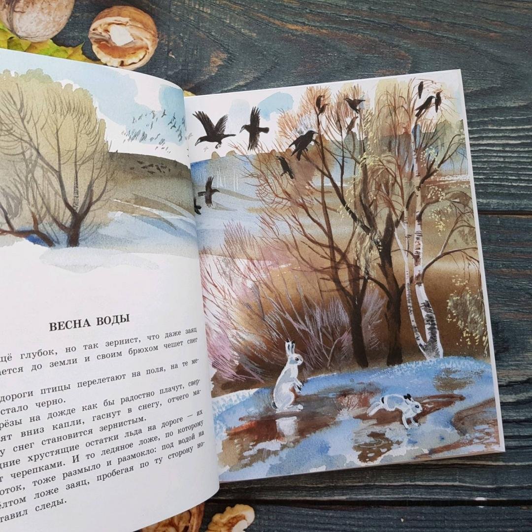 Рассказ Скребицкого Пушок