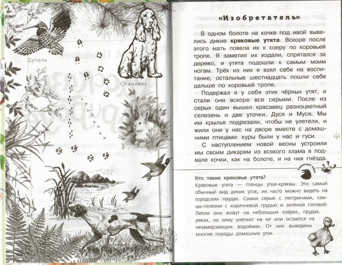 Иллюстрации к рассказу м. пришвин "ребята и утята"